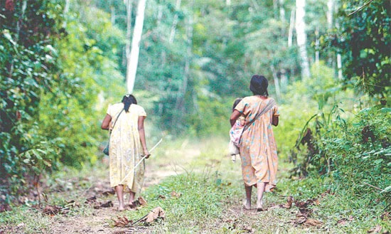 Bolivia: Se inicia la VIII marcha en defensa del Tipnis
