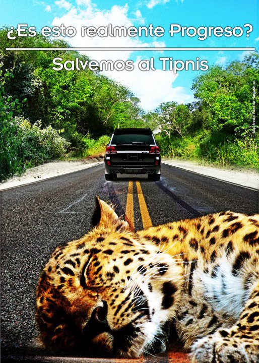 CAOI: Frente a la suspensión de la construcción de la carretera en el TIPNIS