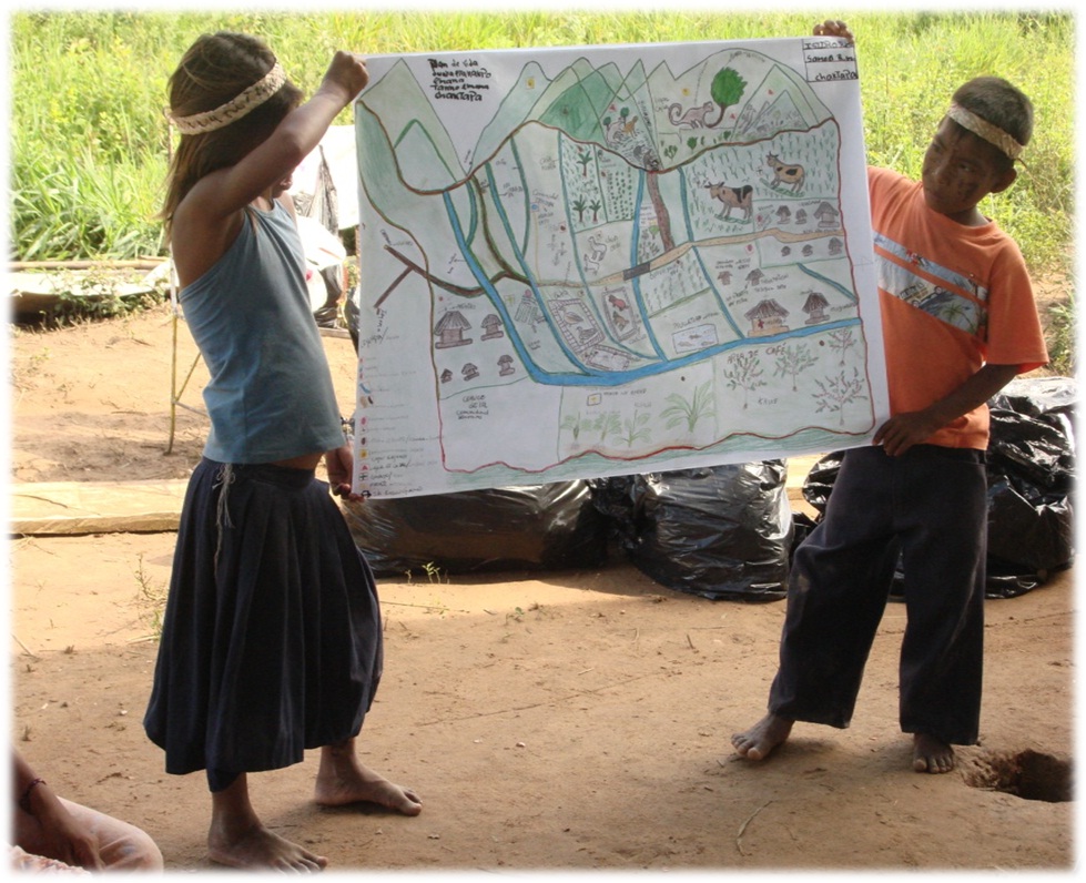 La Demarcación de Hábitat y Tierras Indígenas en Venezuela: ¿Principio o Fin de un Derecho?