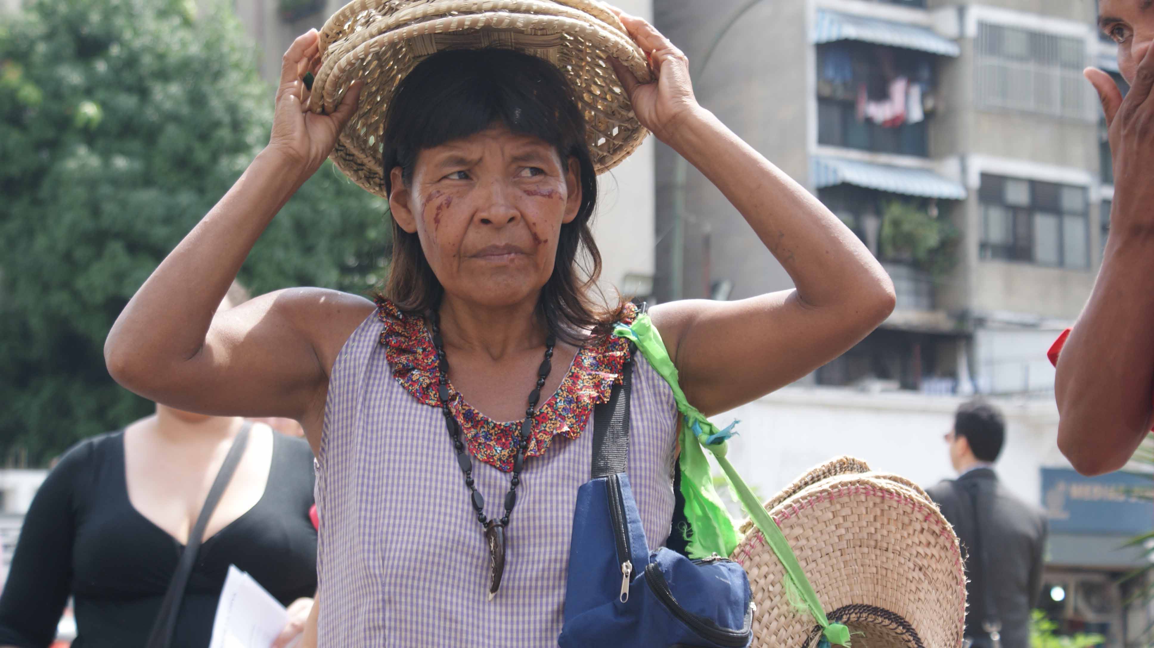 El título de tierra para los Yukpa y sus contradicciones (Parte II)