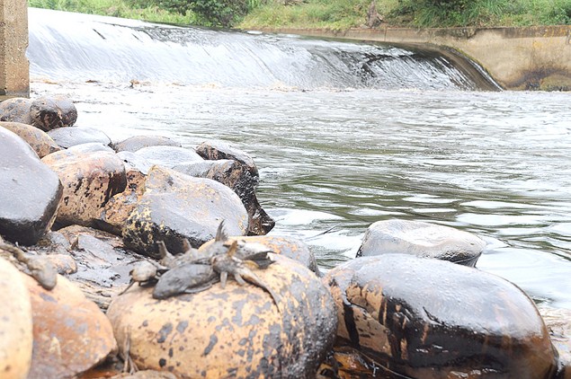 Grave situación en el río Guarapiche del estado Monagas por derrame de petroleo