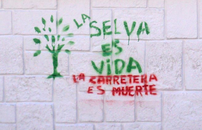 Firma para detener carretera que busca dividir en dos la selva de Bolivia