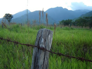 La demarcación de las tierras Indígenas es materia de interés nacional, y por ende, del consejo de estado