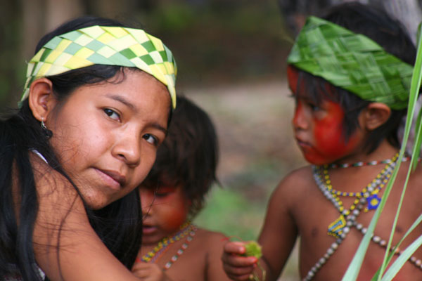 Informe sobre la situación de los pueblos indígenas de Venezuela en el 2011