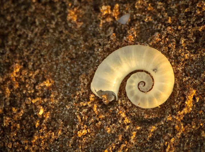 Cedeño y la satanización “de baja intensidad” contra la disidencia y la acción creadora de los pueblos