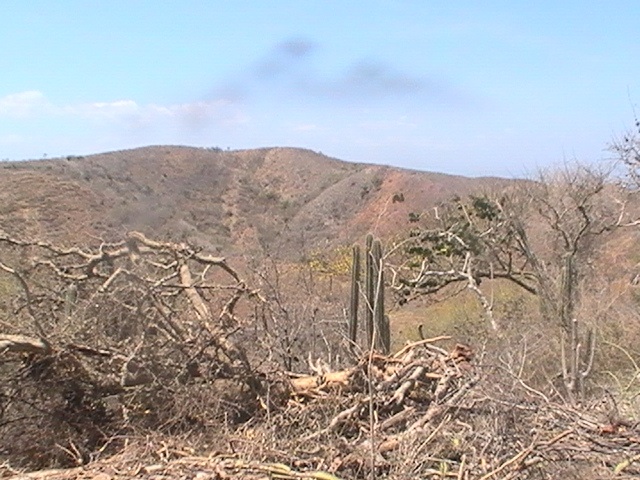 Voces de arena y sal. Denuncia popular sobre la construcción de una cantera para el astillero Nor-Orienta en Araya