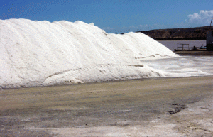 salinas_de_araya