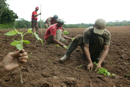 Los trabajadores de Riego Planicie de Maracaibo piden renuncia de la directiva