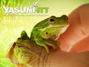 Parque Nacional Yasuni