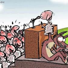 La última revelación