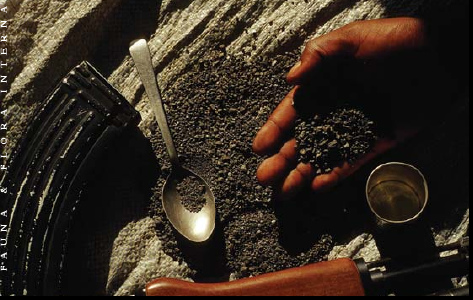 El boom del Coltán y el exterminio de los pueblos indígenas