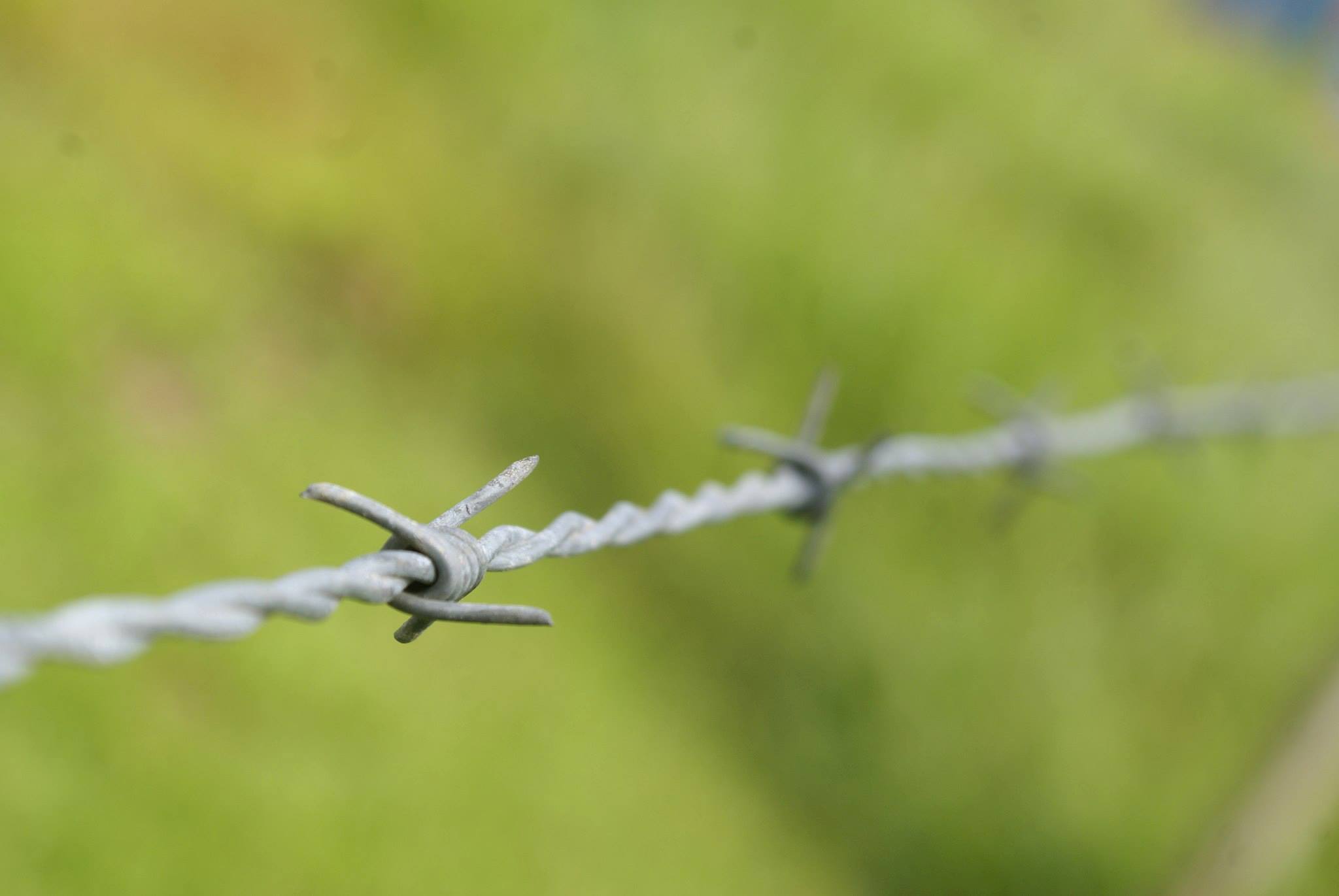 [Perijá] Familias wayúu de Santa Inés, bajo constante amenaza. se mantienen en resistencia en sus tierras