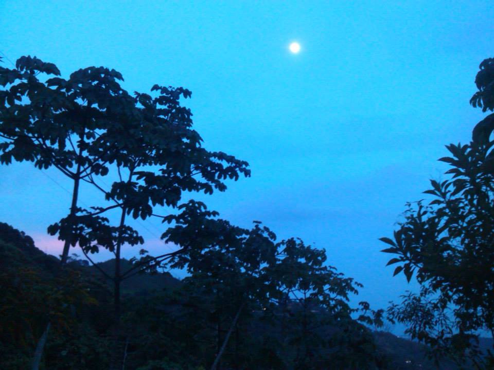 De la Ley Patriota a la Ley del Plan Patria