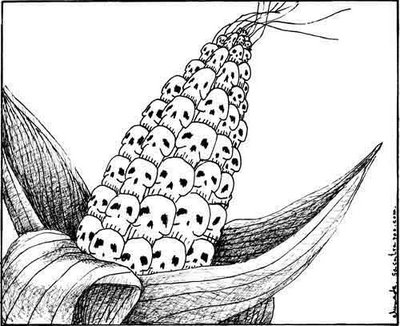 Los transgénicos: Del Plan Patria a la boca