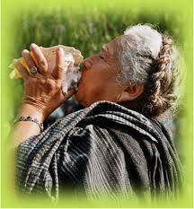 Editorial abierta, frente a los sucesos del 12 y 13F.  No nos pregunten Paja