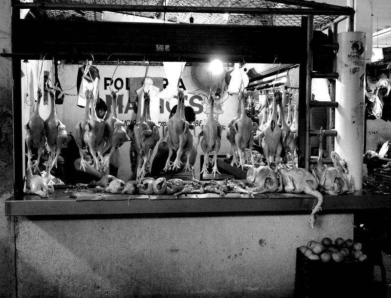 Presidente usted hace el papel de crítico al criticar a quién lo critica. Bienvenido