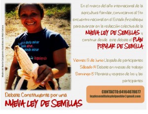debate_semilla_ley