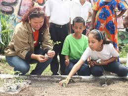 La Ley Orgánica en el devenir Histórico del Movimiento Pedagógico Revolucionario