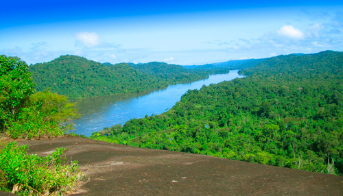 ¿Qué vamos a hacer como movimiento popular para que esa decisión se respete?
