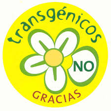 ¡Comienza un llamado internacional para parar la expansión de organismos modificados genéticamente en el medio ambiente!