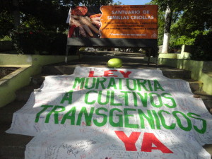 Costa Rica, el país detrás de la marca verde.