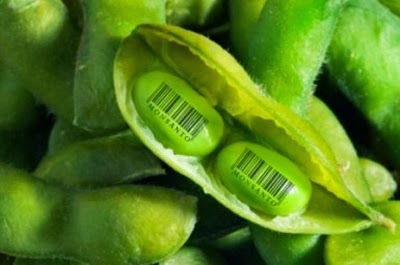 No nos patenten la vida  Campaña contra la privatización de las semillas en Argentina ( para recoger firmas adherentes en Venezuela). Firmar en comentarios.