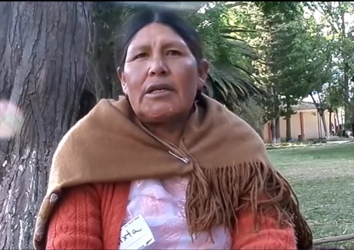 Entrevista a Calixta Mamani. Red de Mujeres, Bolivia – Seminario de Integración de Abya Yala Desde Abajo 2014