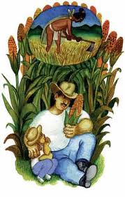 ¿Es lo mismo Semilla y Recurso Fitogenético?: 2da. discusión de la ley.