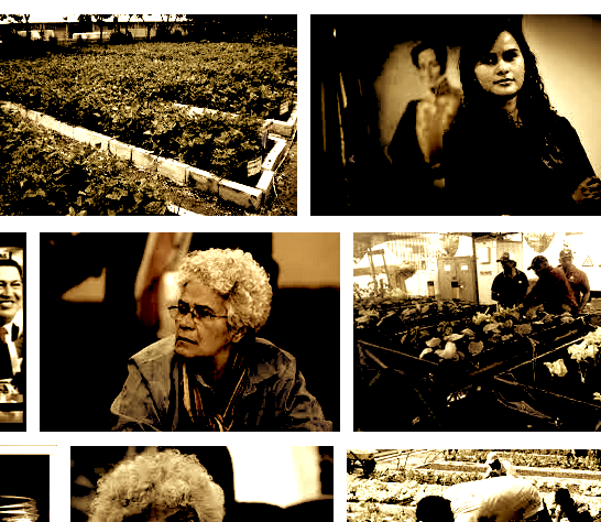 La corta ilusión de un Ministerio sin cartera. Agricultura Urbana.