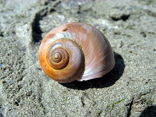 ¿Quién queremos que nos escuche desde los movimientos sociales, para quién y con quién nos organizamos en estos años?