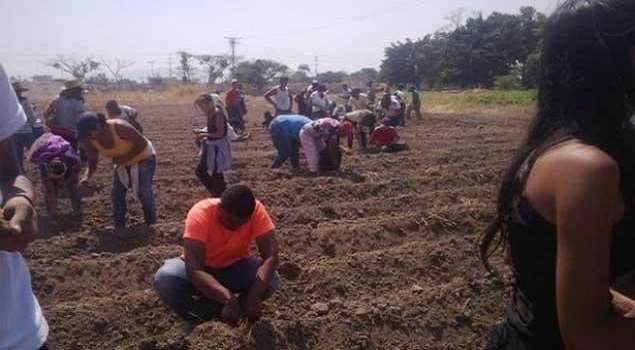 Y ahora, el trabajo forzoso