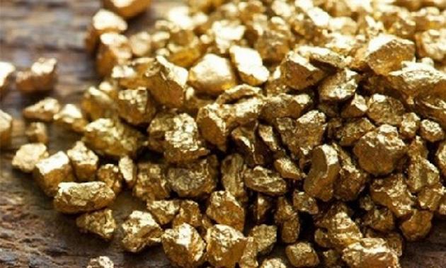 Gobierno salta control de la AN y otorga permiso de explotación aurífera a Gold Reserve al sur de Bolívar