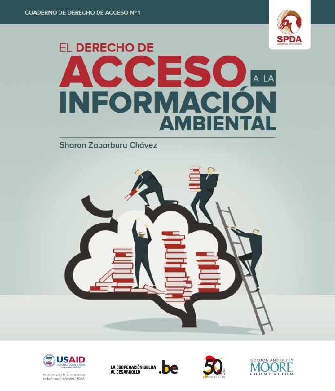 ¿Cómo ejercer el derecho de acceso a la información ambiental?
