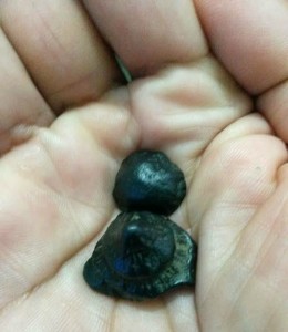 El coltán es usado en la fabricación de móviles, satélites, pantallas, instrumentos quirúrgicos e, incluso, videojuegos. Tiene gran capacidad calórica y se destaca por ser un súper conductor eléctrico