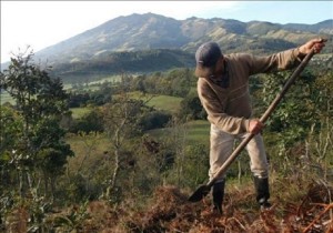 red-internacional-de-estudios-interculturales