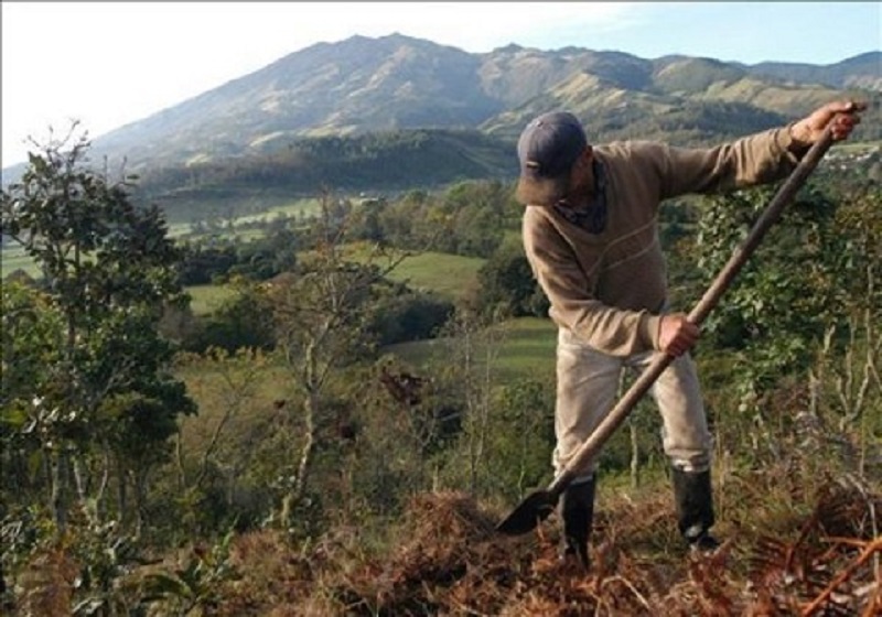 ¿Pueden los gobiernos locales prohibir actividades extractivas?
