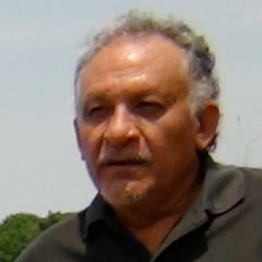 Brevísima historia de las luchas por la defensa territorial y contra el extractivismo en Venezuela | 2da Entrega