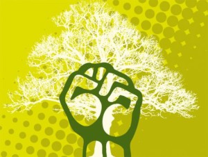 5742_NpAdvSinglePhoto