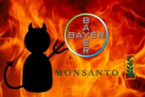 bayer_monsanto