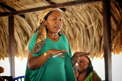 Global Witness: El peor año en la historia para personas defensoras de la tierra