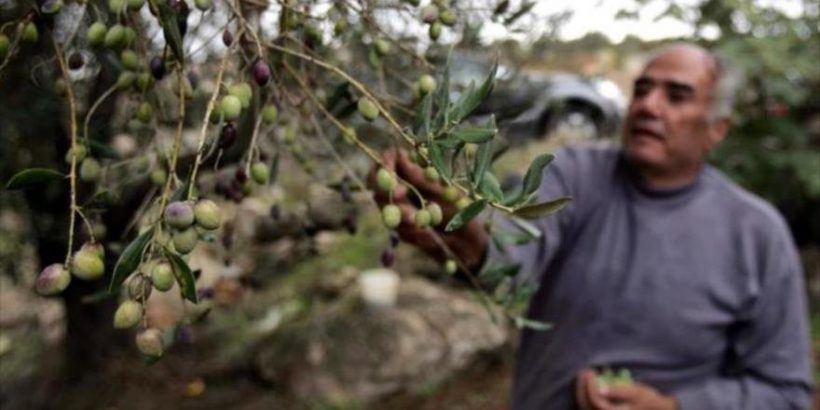 La cuestión ecológica: el fundamento del Confederalismo Democrático