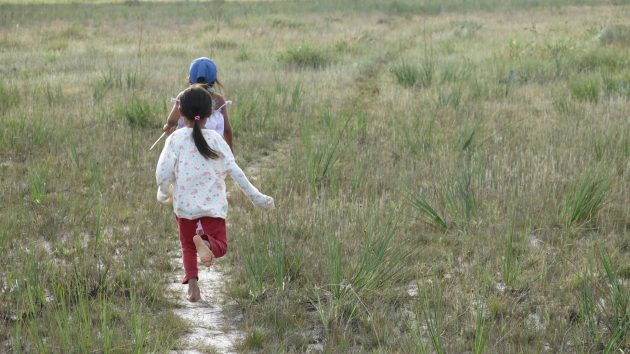 Tiempo de hordas (II): La horda ataca y rompe el sueño Pemón